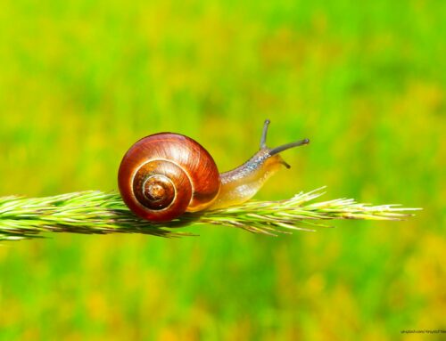 Stufen – Büro-Sommerpause