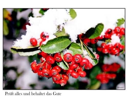 Behaltet das Gute